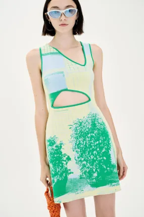 HIBISCUS WINDOW PRINT A-LINE TANK DRESS