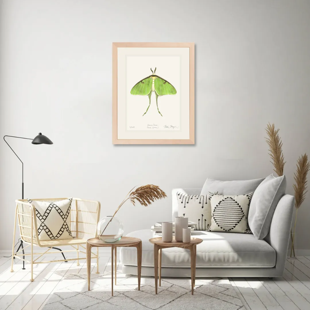 Luna Moth Print