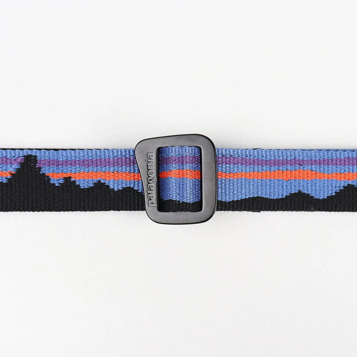 Patagonia Friction Belt