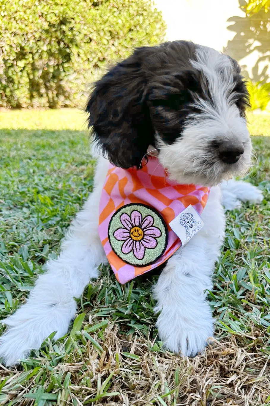 ★Dog Bandana Checkered Swirl - Customize with Interchangeable Velcro Patches