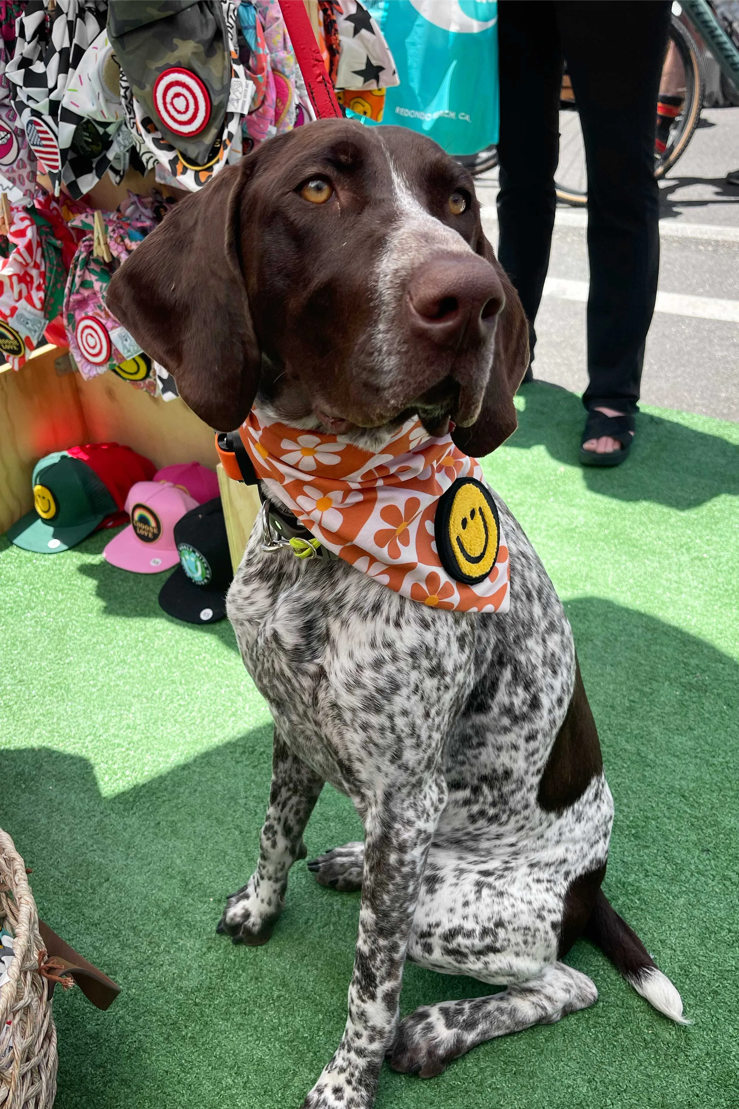 ★Dog Bandana Groovy Daisy - Customize with Interchangeable Velcro Patches